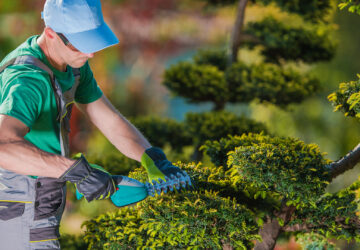 Topiary Gardener Plant Shaper at Work. Professional Gardener in the Beautiful Garden Full of Fancy Trees.